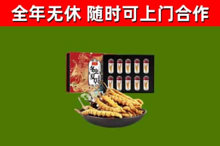 安庆市烟酒回收冬虫夏草礼盒.jpg